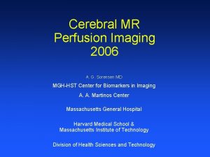 Cerebral MR Perfusion Imaging 2006 A G Sorensen