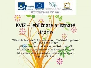 KVZ jehlinat a listnat stromy Zkladn kola a