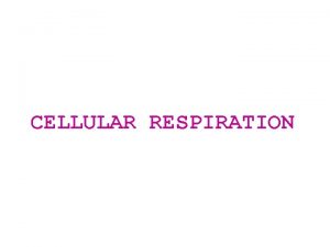 CELLULAR RESPIRATION Cellular Respiration complex process whereby cells