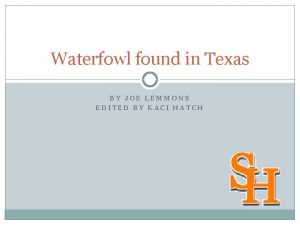 Waterfowl found in Texas BY JOE LEMMONS EDITED