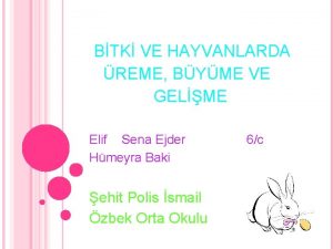 BTK VE HAYVANLARDA REME BYME VE GELME Elif