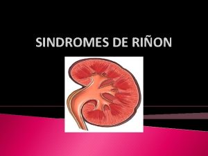 SINDROMES DE RION DEFICIENCIA DE YIN DE RION