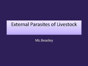 External Parasites of Livestock Ms Beasley External Parasites