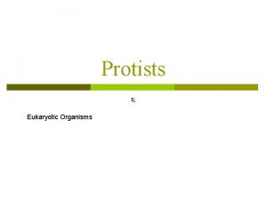 Protists Eukaryotic Organisms Protists p Protists Eukaryotic microorganisms