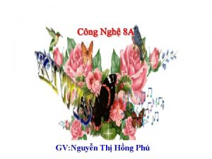 GV Nguyn Th Hng Ph Li thp 1