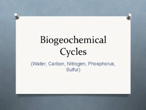 Biogeochemical Cycles Water Carbon Nitrogen Phosphorus Sulfur What