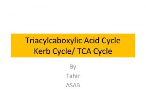 Input and output of krebs cycle Input and output of krebs cycle