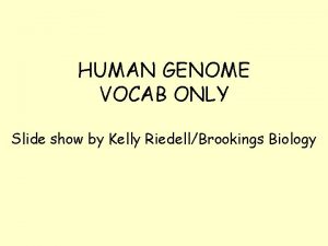 HUMAN GENOME VOCAB ONLY Slide show by Kelly