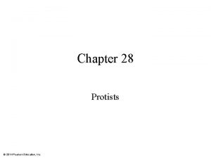 Chapter 28 Protists 2014 Pearson Education Inc Protists
