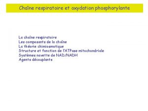 Chane respiratoire et oxydation phosphorylante La chane respiratoire