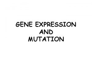 GENE EXPRESSION AND MUTATION GENE EXPRESSION IN PROKARYOTES