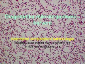 Diagnostika mikroorganism barven Veterinrn komparativn bakteriologie Pednejc a