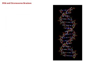 DNA and Chromosome Structure DNA and Chromosome Structure