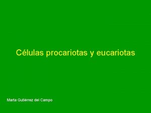 Clulas procariotas y eucariotas Marta Gutirrez del Campo