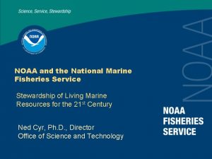 NOAA and the National Marine Fisheries Service Stewardship