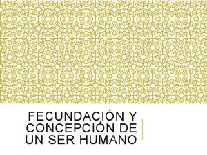 FECUNDACIN Y CONCEPCIN DE UN SER HUMANO As