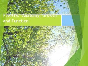 PLANTS Anatomy Growth and Function Plant Characteristics Plants