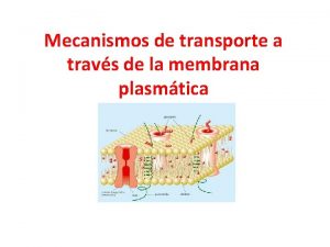 Mecanismos de transporte a travs de la membrana