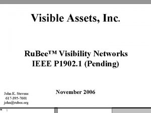 Visible assets inc