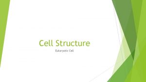 Cell Structure Eukaryotic Cell Bellwork What do we