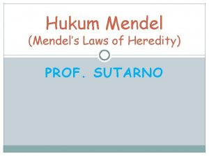 Hukum Mendel Mendels Laws of Heredity PROF SUTARNO