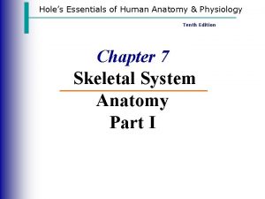 Holes essential of human anatomy and physiology