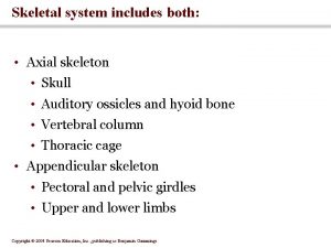 Skeletal system includes both Axial skeleton Skull Auditory