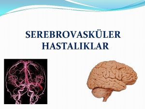 SEREBROVASKLER HASTALIKLAR Serebrovaskler hastalklar Merkezi sinir sistemini besleyen