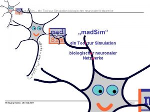 mad Sim ein Tool zur Simulation biologischer neuronaler