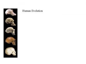 Human Evolution Human Evolution I What are humans