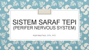 SISTEM SARAF TEPI PERIFER NERVOUS SYSTEM Argita Maya