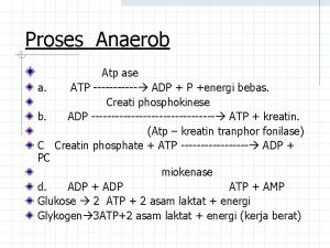 Proses Anaerob Atp ase a ATP ADP P