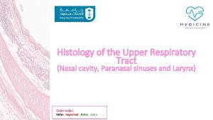 Histology of the Upper Respiratory Tract Nasal cavity