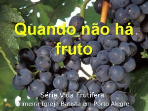 Quando no h fruto Srie Vida Frutfera Primeira