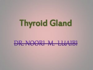 Thyroid Gland Thyroid Gland The thyroid gland is