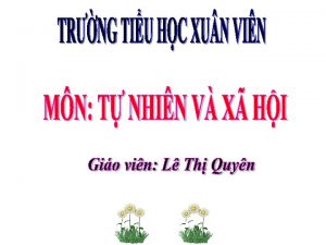 T NHIN V X HI LP 3 Con