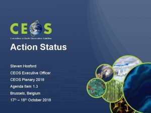 Committee on Earth Observation Satellites Action Status Steven