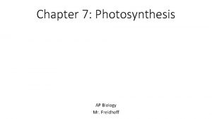 Chapter 7 Photosynthesis AP Biology Mr Freidhoff 7