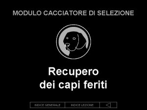 MODULO CACCIATORE DI SELEZIONE Recupero dei capi feriti