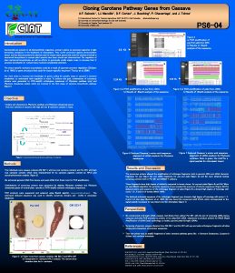 Cloning Carotene Pathway Genes from Cassava A F