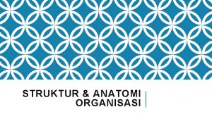 Anatomi organisasi