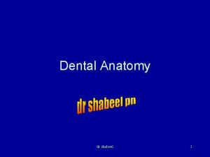 Dental Anatomy dr shabeel 1 Nomenclature Maxilla Mandible