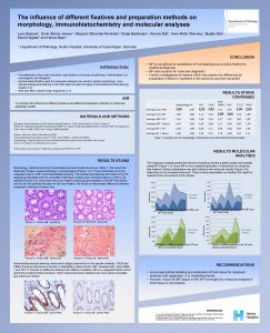 The influence of different fixatives and preparation methods