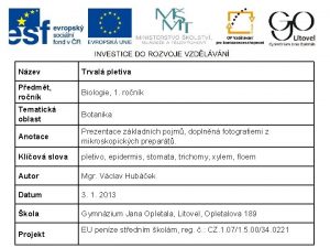 Nzev Trval pletiva Pedmt ronk Biologie 1 ronk