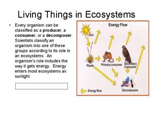 Living Things in Ecosystems Every organism can be