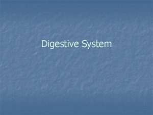 Digestive System The Digestive System n n Digestion