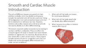 Smooth and Cardiac Muscle Introduction The cells of