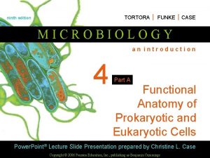 TORTORA FUNKE CASE ninth edition MICROBIOLOGY an introduction