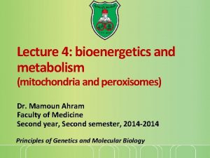 Lecture 4 bioenergetics and metabolism mitochondria and peroxisomes