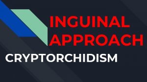 INGUINAL APPROACH CRYPTORCHIDISM PREOP PREPARING THE PATIENT https